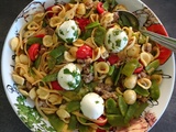 Orecchiette, saucisse et mozzarella di bufala