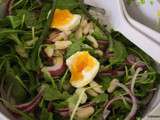 Salade de roquette aux haricots blancs et verts