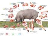 Secreto di cerdo ibérico con limón - Secreto du cochon ibérique au citron