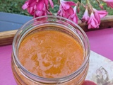 Coulis d'abricots au thermomix