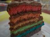 Gateau rainbow