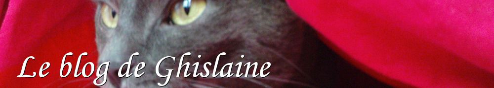 Recettes de Le blog de Ghislaine