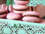 Macaron Chocolat Cassis et Conseills pour les réussir