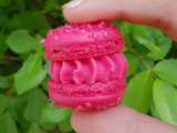 Macaron Framboise de Pierre Hermé