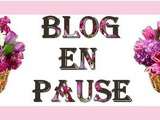 Blog en pause