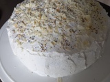 Gâteau aux abricots