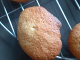Madeleines à la vanille de Philippe Conticini