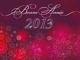 Bonne année 2013