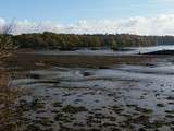 Cimetière des bateaux lanester
Pour adèle qui ne connaissait pas