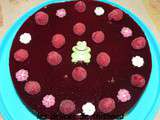 Entremet framboises et citron