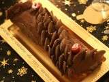 Bûche au chocolat framboises (facile,rapide)