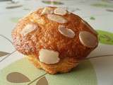 Muffins aux mirabelles