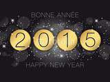 Bonne Année 2015