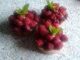 Tartelette framboises fraiches