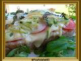 Tartines tomates, reblochon et courgettes