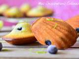 Madeleines bossues inratables aux Myrtilles