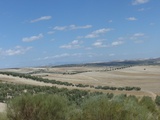 Belle découverte à Guadix