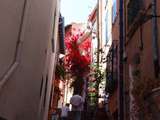 Dimanche à Collioure