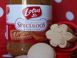 Crème Glacée au Speculoos et éclats de macarons