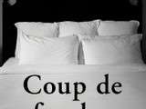 Coin lecture: Coup de foudre de Ken Kalfus