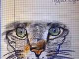 Dessins au stylo bic bleu: animaux