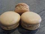 Macaron au praliné