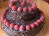 Layer Cake version moelleux au chocolat/framboises (vegan)