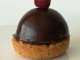 Domes surprise chocolat frmaboises