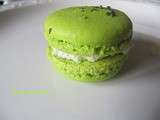 Macarons chevre menthe