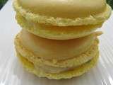 Macarons citron basilic violet