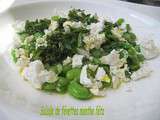 Salade de fevettes feta menthe