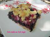 Tarte crumble aux fruits rouges extra