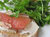 Tartines poulet pamplemousse pousse de roquette du jardin