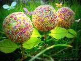 Cake pops