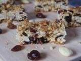 Barre aux flocons d'avoine, cranberry et raisins secs