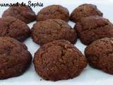 Cookies chocolat au lait/coco