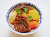 Ragout de boeuf vietnamien