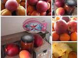 Confiture nectarine, abricot et vanille