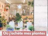 Carnet d’adresses pour acheter ses plantes 🌿 Mes boutiques préférées