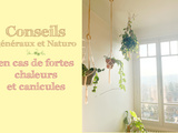 Conseils en cas de fortes chaleurs et canicules