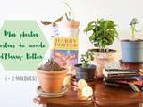 Plantes sorties du monde d’Harry Potter