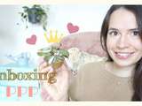 Unboxing d’une plante (avec du) rose