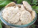 Biscuits aux flocons d'avoine façon   scottish oat cakes 