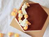 Entremet à la mirabelle et vanille