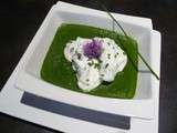 Velouté d'épinards (et chantilly ail et fines herbes)