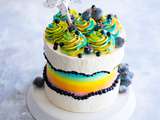 Fault Line Cake Citron Myrtille