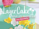 Layer cake coco framboise