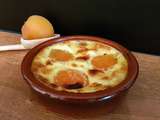 Clafoutis aux Abricots