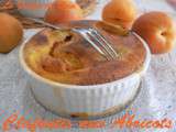 Clafoutis aux Abricots