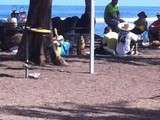 Picnic à la Réunion